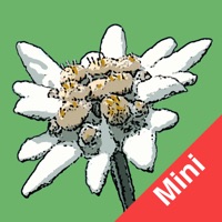 Flora Helvetica Mini français pour PC