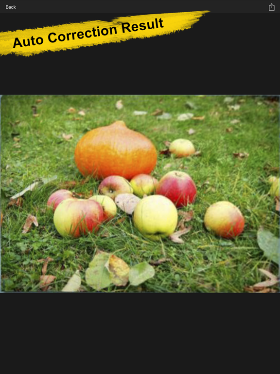 Photo Perspective Editor&Maker iPad screenshot 10 - Photo & Video app