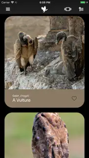 cross-birds iphone screenshot 1