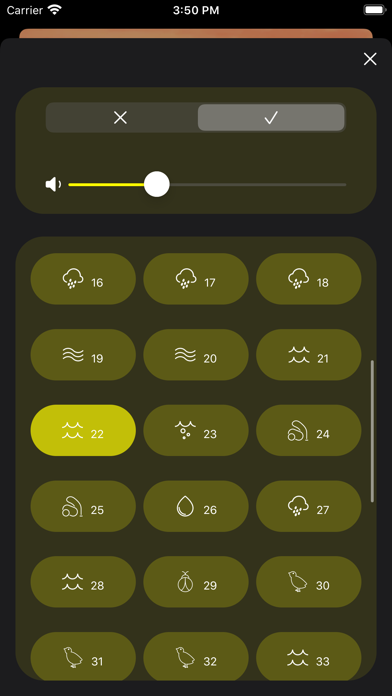 Screenshot #3 pour Musique pour faire face