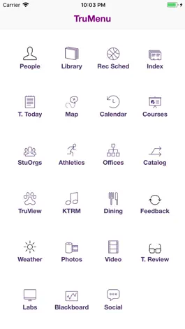 Game screenshot TruTouch mod apk