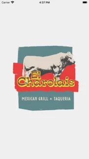 el charolais problems & solutions and troubleshooting guide - 3