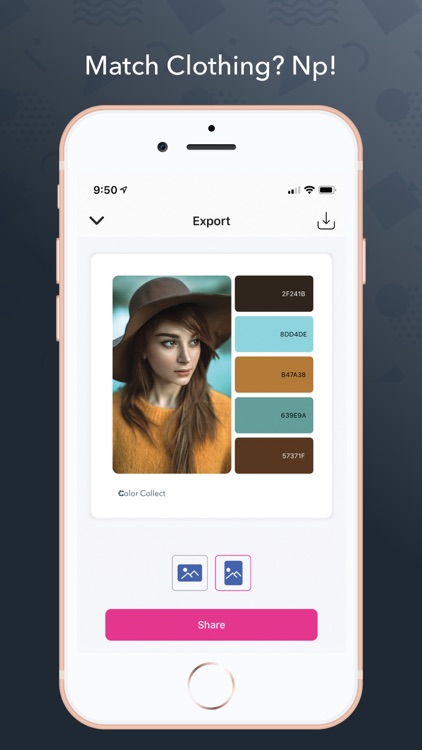 Color Collect - Palette Studio