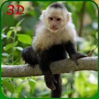 Simulateur de singe vie sauvag pour PC