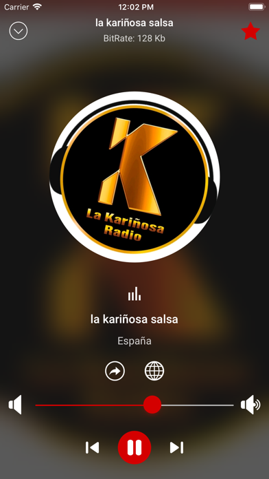 Salsa Music Radio App screenshot 4