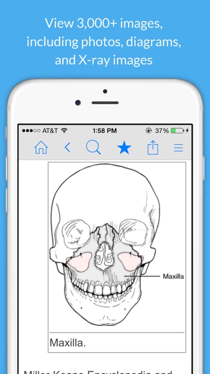 Dental Dictionary by Farlex screenshot-4
