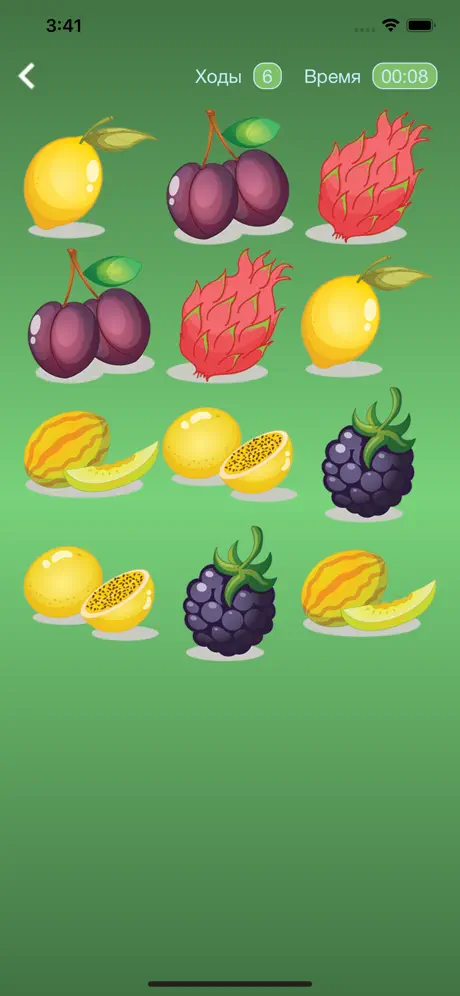 Fruit and Match