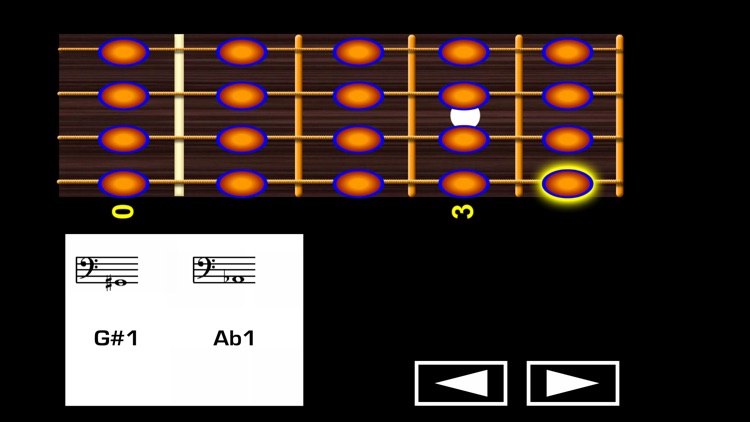 Bass Guitar Notes