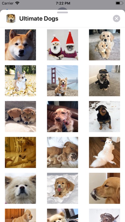 Ultimate Dogs Sticker Pack