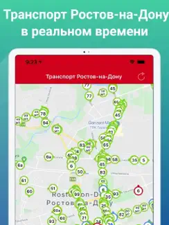 Транспорт Ростов-на-Дону iPad image 1