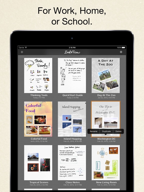 Inkflow Plus Visual Notebook Screenshots