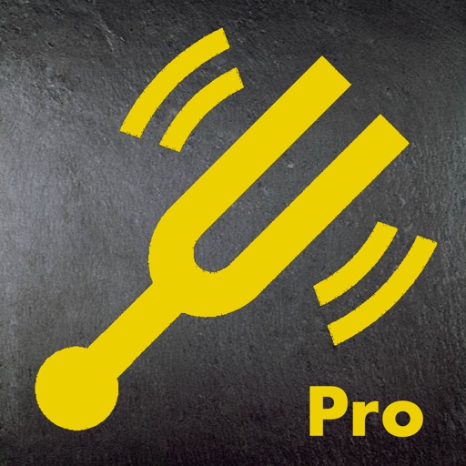 TimperTuner Pro