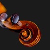 Cello Tuner - Global Version - iPadアプリ