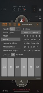 ScaleBud - AUv3 MIDI Keyboard screenshot #5 for iPhone
