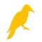The Yellowhammer News app delivers the most up-to-date breaking news and editorials from YellowhammerNews