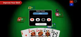 Game screenshot Euchre 3D hack