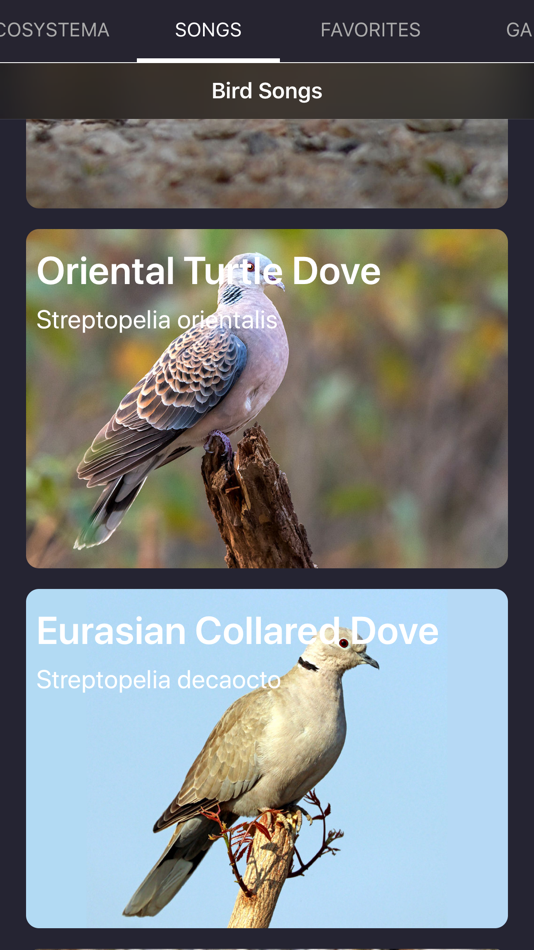 #8. Bird Sounds and Bird Calls (iOS) Bởi: Ecosystema