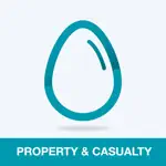 Property And Casualty Test App Problems