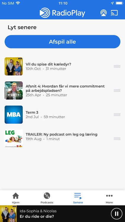 RadioPlay DK screenshot-4