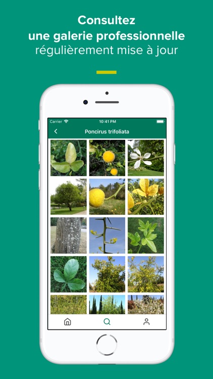 Floriscope screenshot-3