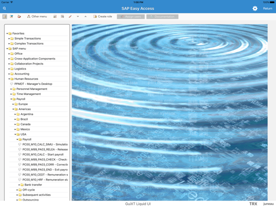 Screenshot #4 pour Liquid UI Client for SAP