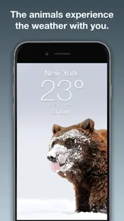 How to cancel & delete wildlife wallpaper weather 4