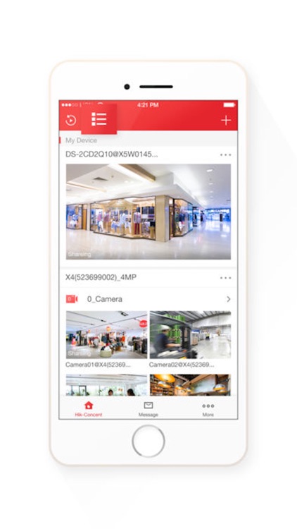 IP Webcam Monitor