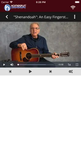 Game screenshot Homespun hack