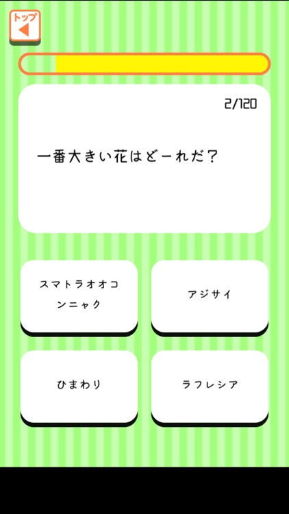 一番大きいのどーれだ？