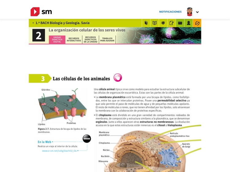 SM Aprendizaje Conecta y Savia screenshot-3