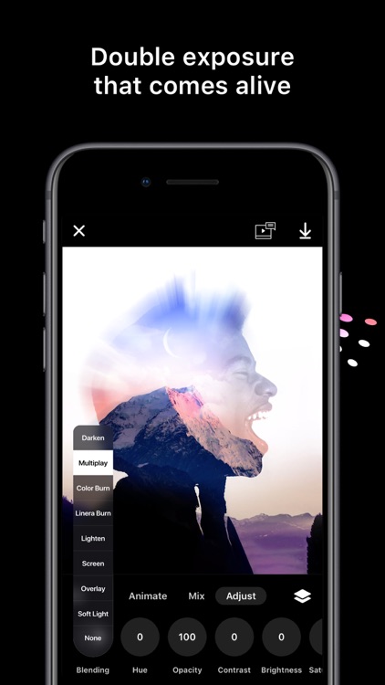 Disflow - Motion Photo Editor