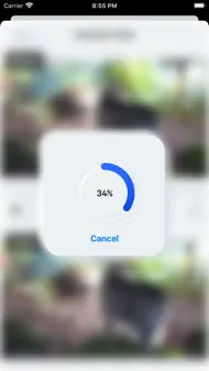 Video Deshake - Stabilizer iphone bilder 2
