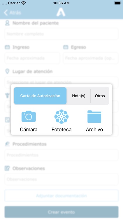 Aliquam screenshot-5
