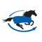 Thanks to the SmartPak Blanketing app, you can finally answer the question on every horse owner’s mind this winter: “Should I put on the medium or the heavy blanket tonight