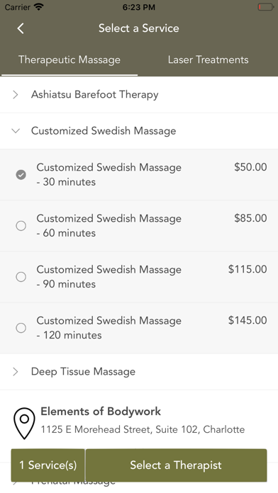 Elements of Bodywork - Massage Screenshot