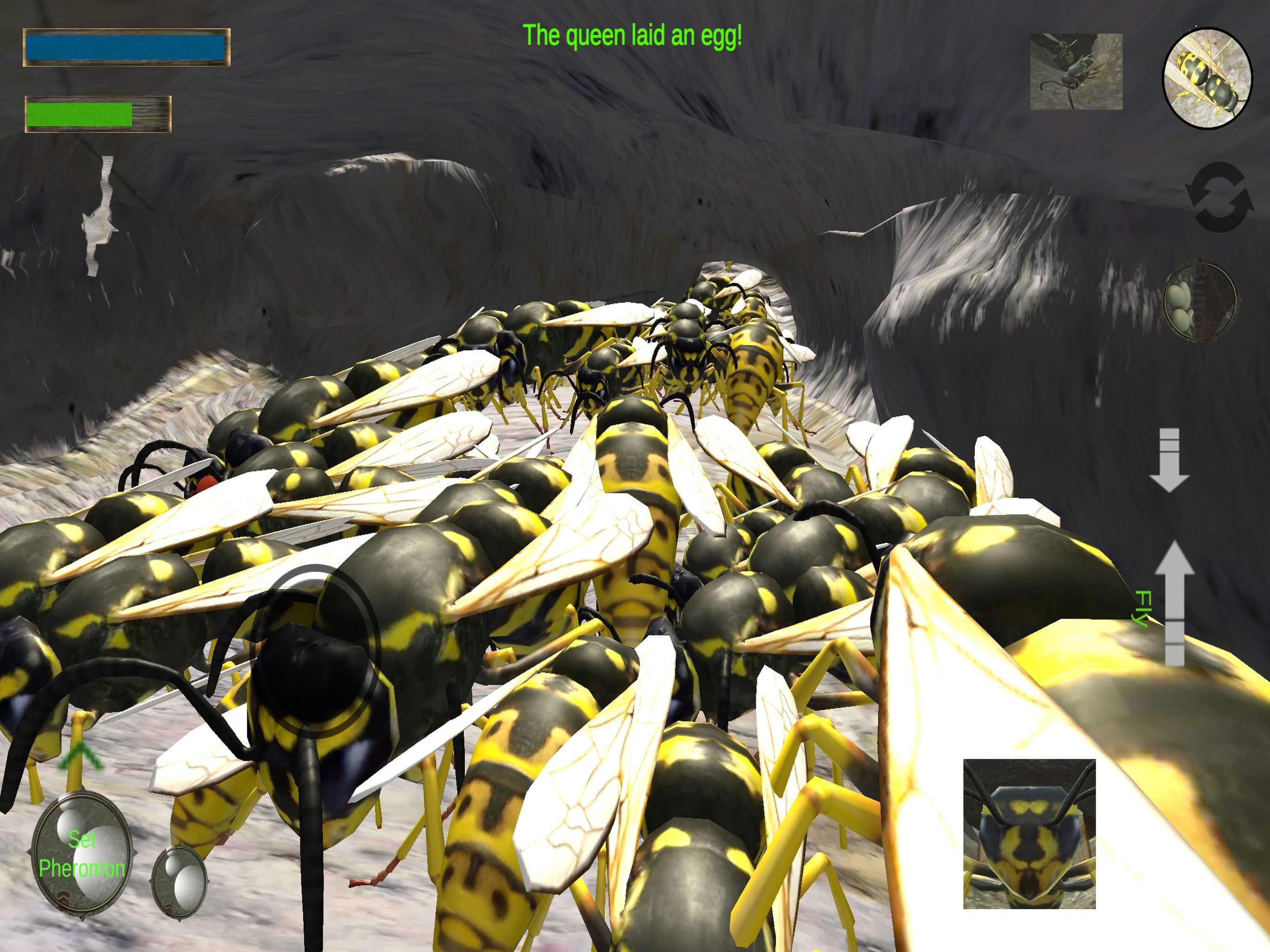 Wasp Nest Simulation Full