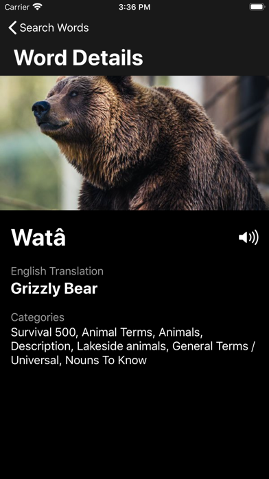 Stoney Language Dictionary Screenshot