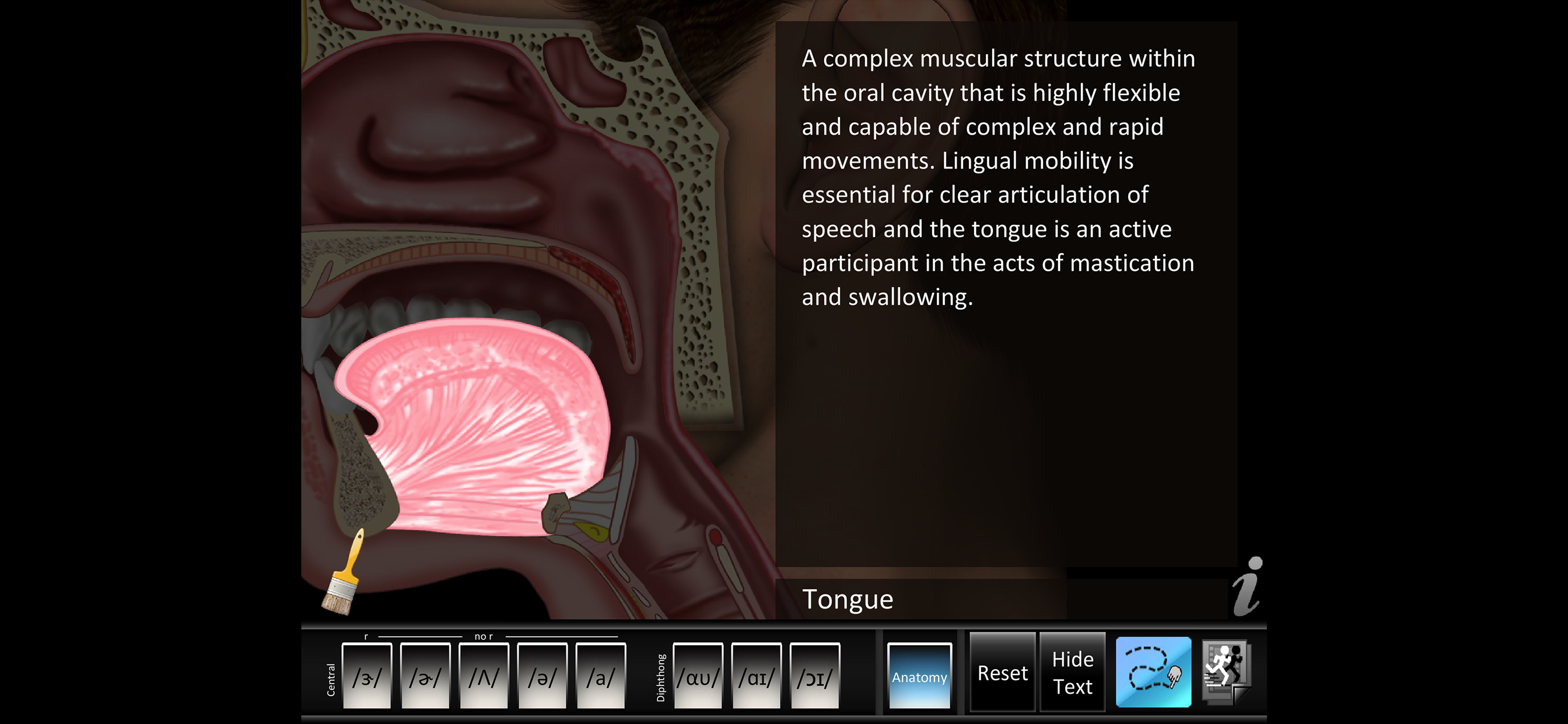 Vowels Central Diphthong screenshot 3