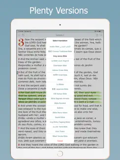 Bilingual Bible Multi Language iPad image 2