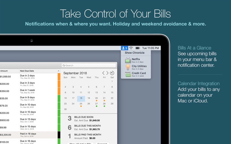 Chronicle Pro - Bills & Income