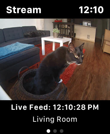 Screenshot #11 for Watch Cam for Nest Cam
