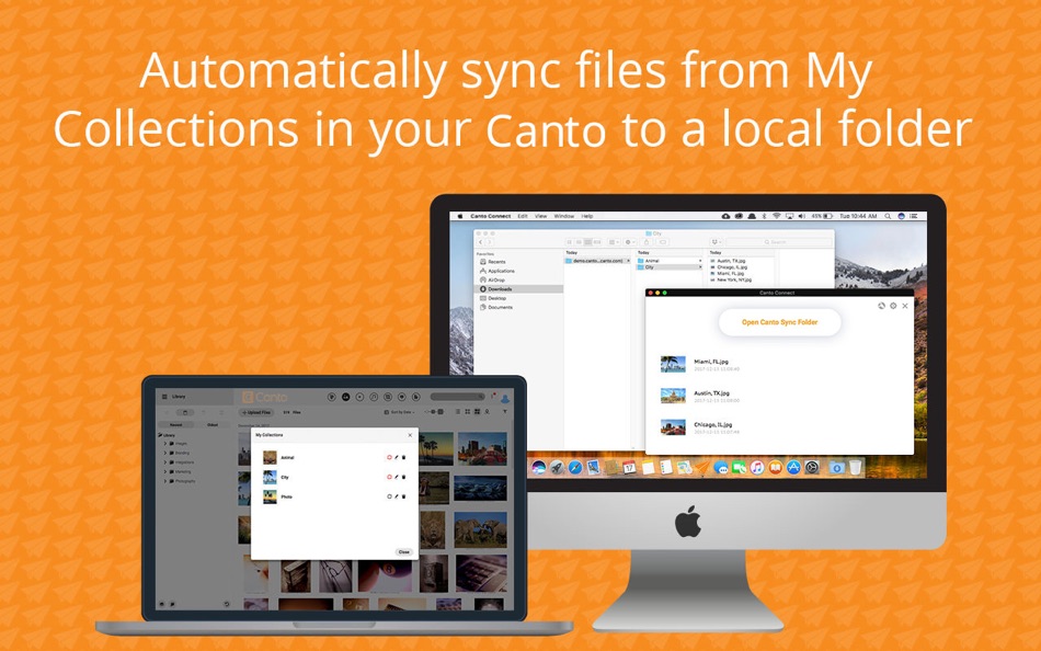 #4. Canto Connect (macOS) 由: Canto, Inc.