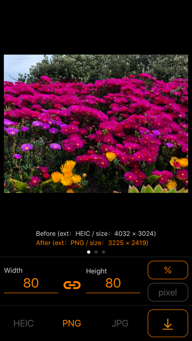 ImageConverter screenshot 2