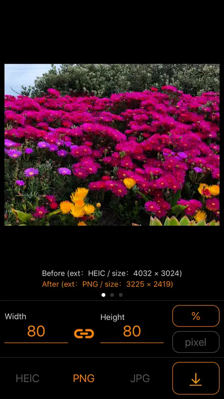 ImageConverter