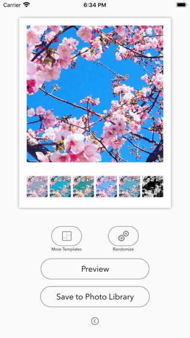 Screenshot #2 pour Filter Collage Maker
