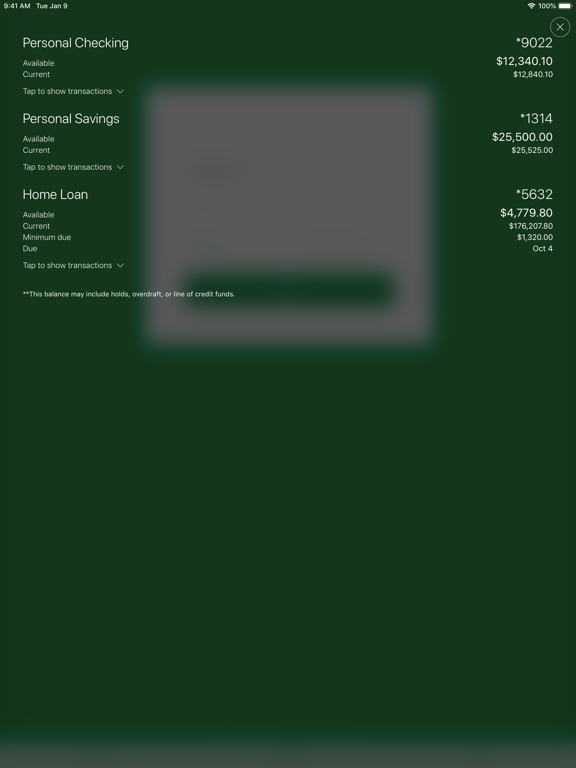 LCFCU iPad screenshot 1 - Finance app