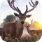 This app is designed for WiFi Hunting Camera, you can control the hunting camera to snapshot a photo or record a video for the animal that work around the camera