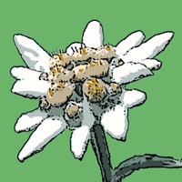 Flora Helvetica Pro français pour PC