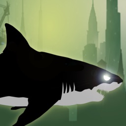 City Shark