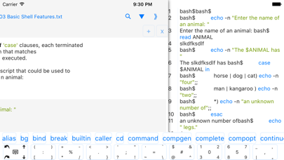 Screenshot #2 pour bashi - programming language